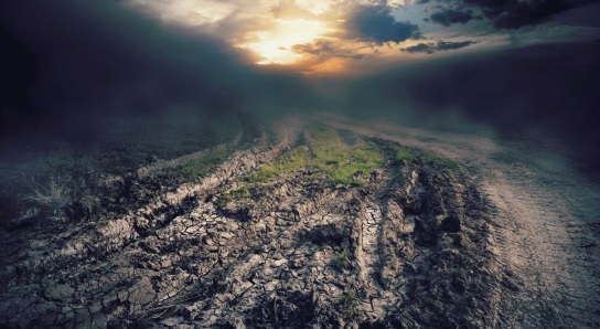 a-dark-and-dangerous-path-298x544-95-web