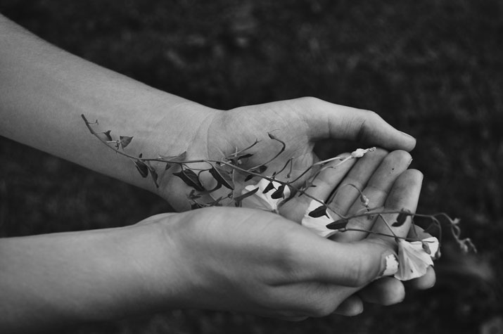 kristina-bychkova-photography-black-white-hands-plant-dirt-holding