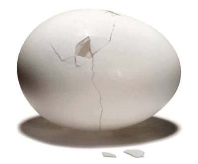 egg